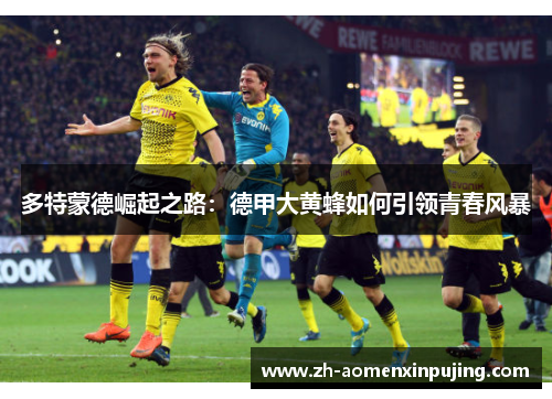 多特蒙德崛起之路：德甲大黄蜂如何引领青春风暴