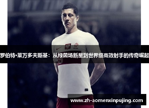 罗伯特·莱万多夫斯基：从绿茵场新星到世界级高效射手的传奇崛起