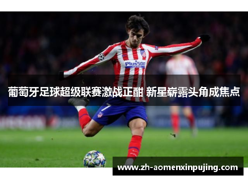 葡萄牙足球超级联赛激战正酣 新星崭露头角成焦点