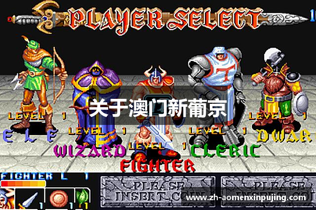 关于澳门新葡京